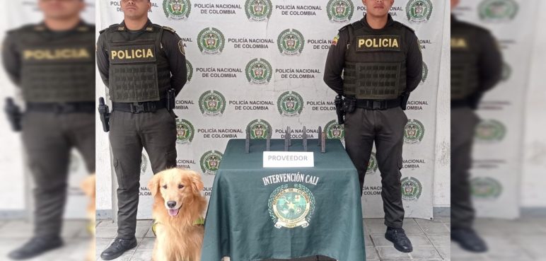 Con la ayuda de un canino, la Policía encontró un cargamento con proveedores