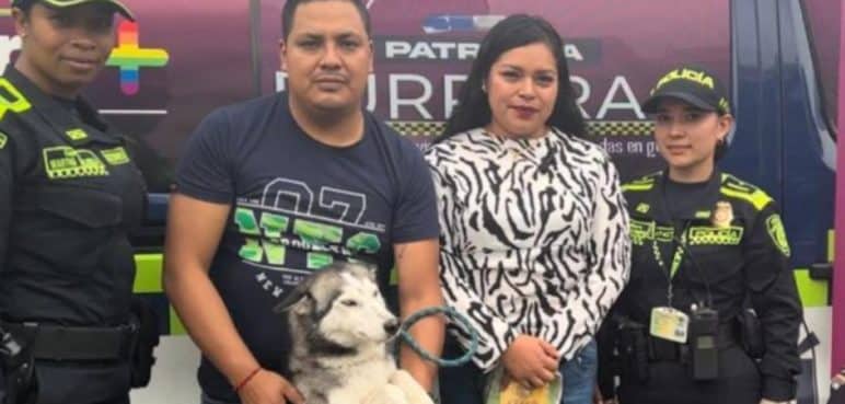 Rescatan en la Terminal de Cali a perrita que fue robada en Ecuador