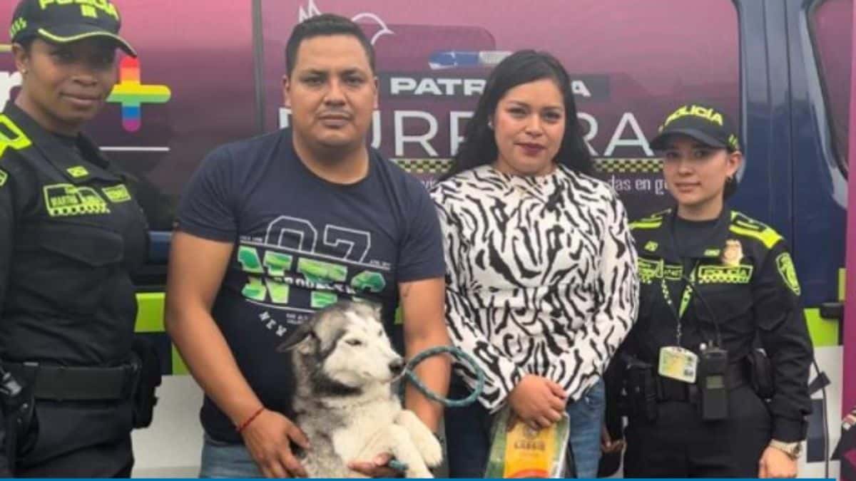 Rescatan en la Terminal de Cali a perrita que fue robada en Ecuador