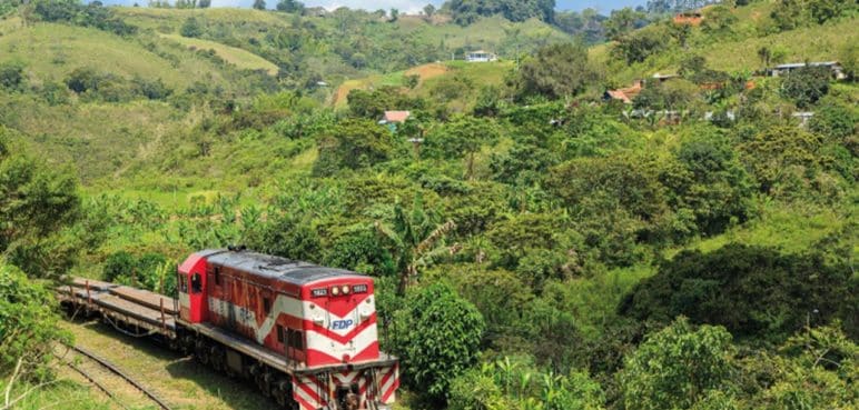 Ferrocarriles del Pacífico propuso ayudar tras la emergencia en el puente El Alambrado