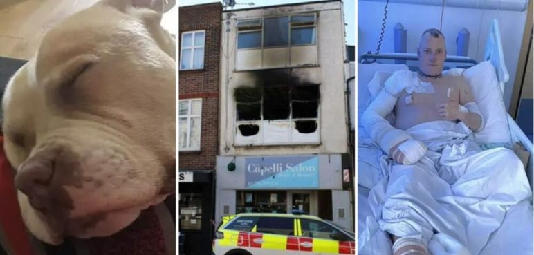 Un perro murió luego de salvar a su dueño de un incendio