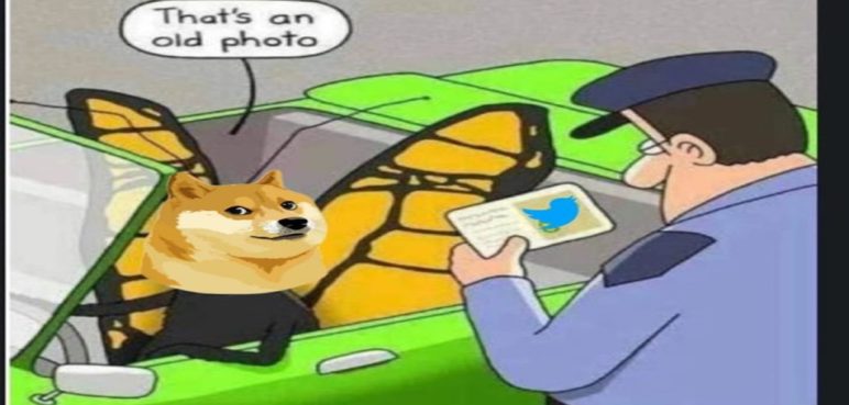 'Dogecoin': Un perro de raza Shiba Inu, sería el nuevo logo de Twitter