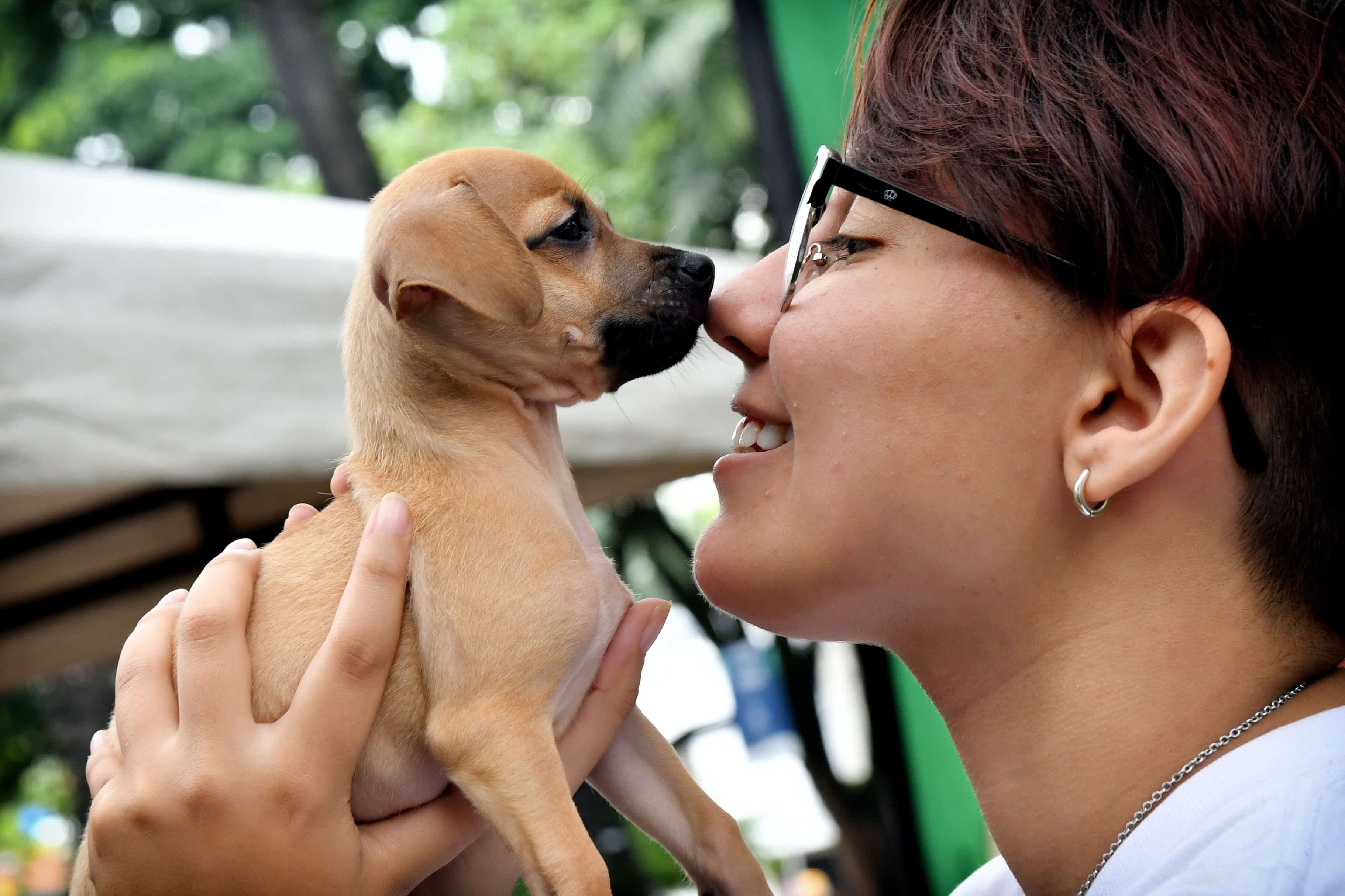 S.O.S: Gatos y perros de fundación 'Corazón Gatuno' sufren escasez de alimentos