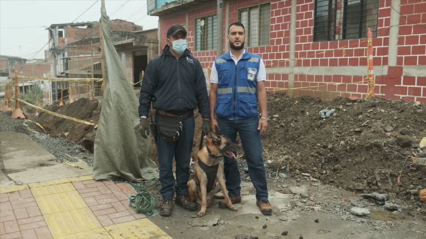 Gases de Occidente cuenta con patrulla canina para detectar fugas de gas