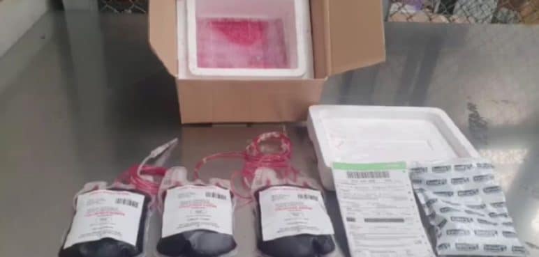 Autoridades encontraron en el aeropuerto droga camuflada en bolsas de sangre