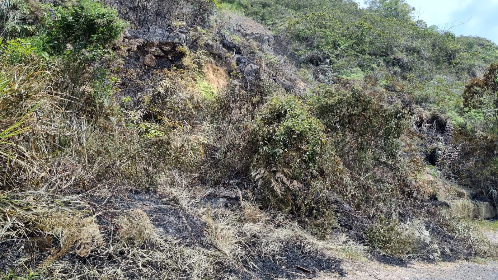 Nuevo ataque: Incendian maquinaria en cultivo de caña en el Cauca