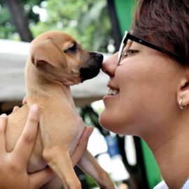En imágenes: Así se vivió la jornada de adopción en el Parque del Perro