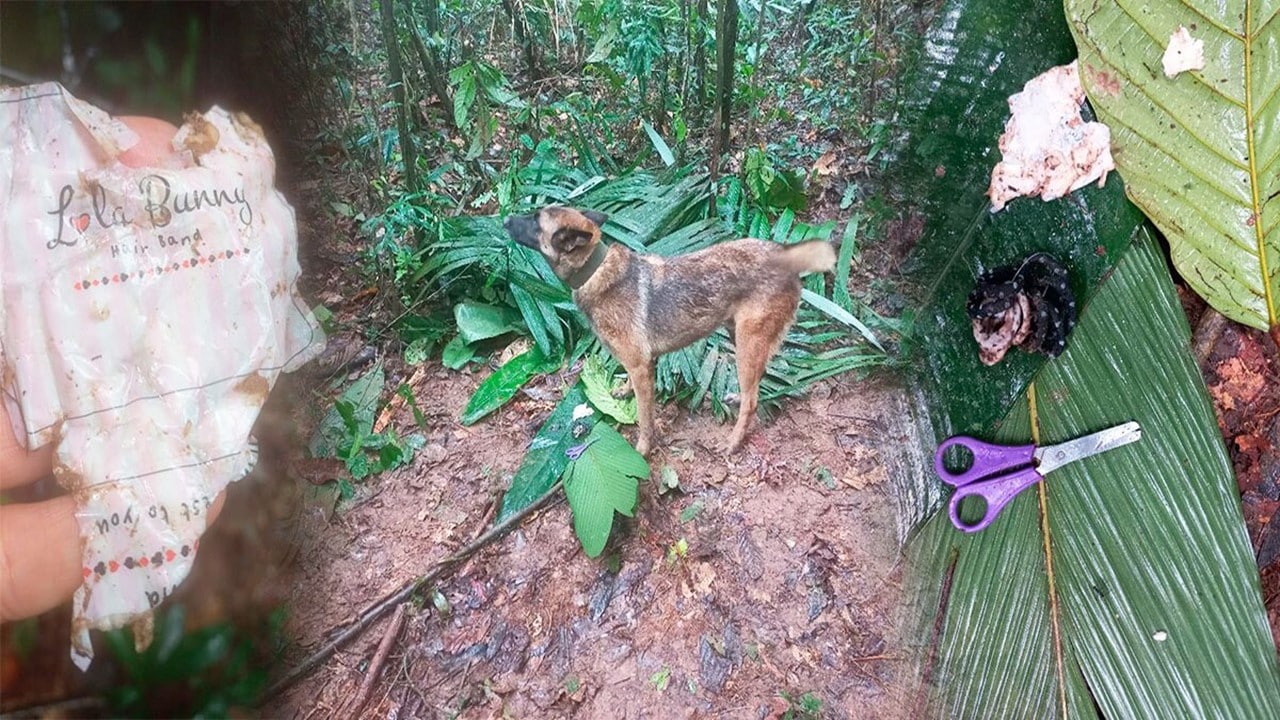 Crece confusión sobre el hallazgo de los niños perdidos en la selva del Guaviare