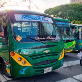 "Los buses usan nuestro nombre sin autorización": Representante de Coomoepal