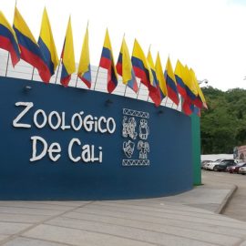 Menores de 12 años podrán entrar gratis al Zoológico de Cali: Conozca las fechas