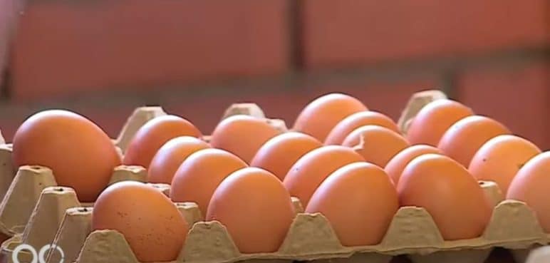 Sector avícola del Valle aún no supera secuelas causadas por la pandemia