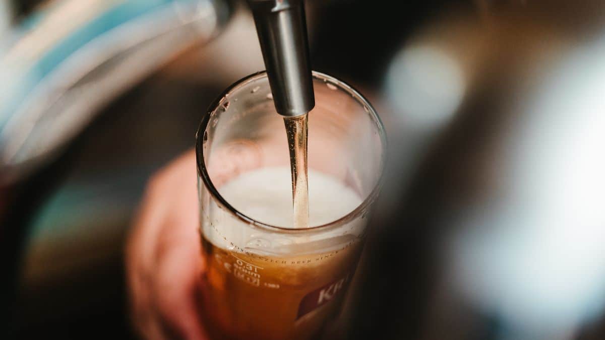 ¡Traigan las chelas! Comienza el Beer Fest en la Plazoleta Jairo Varela