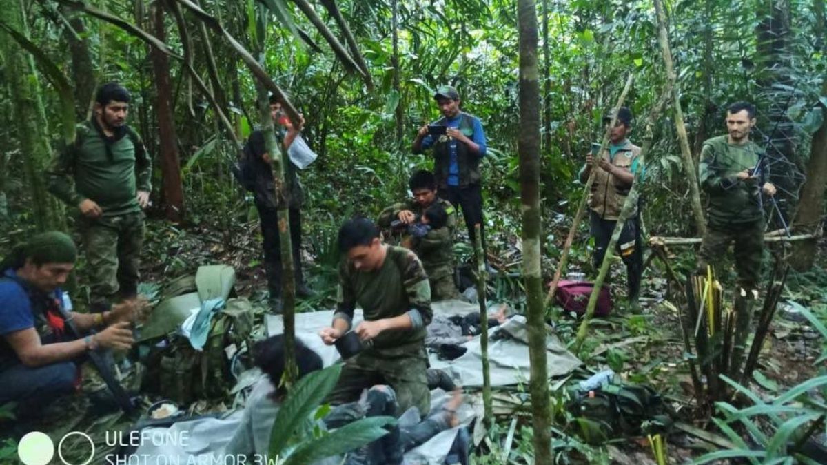 "Niños encontrados en selva del Guaviare están fuera de peligro": MinDefensa