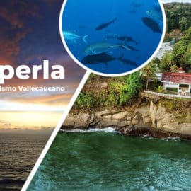 Pacífico: La perla del turismo Vallecaucano