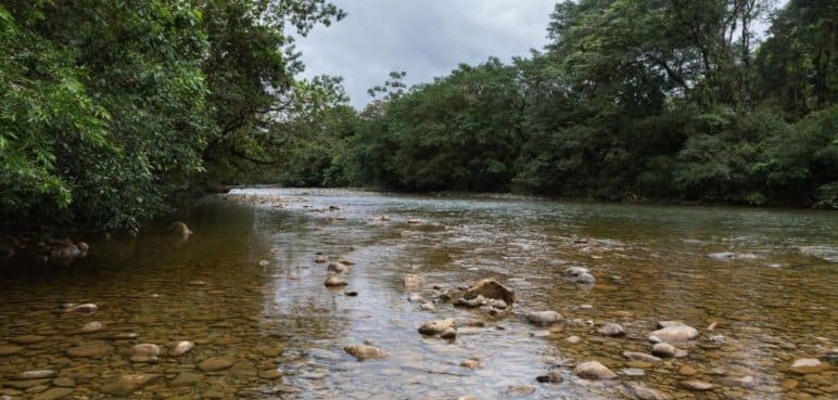 San Cipriano: Un maravilloso acuario natural en el Valle del Cauca