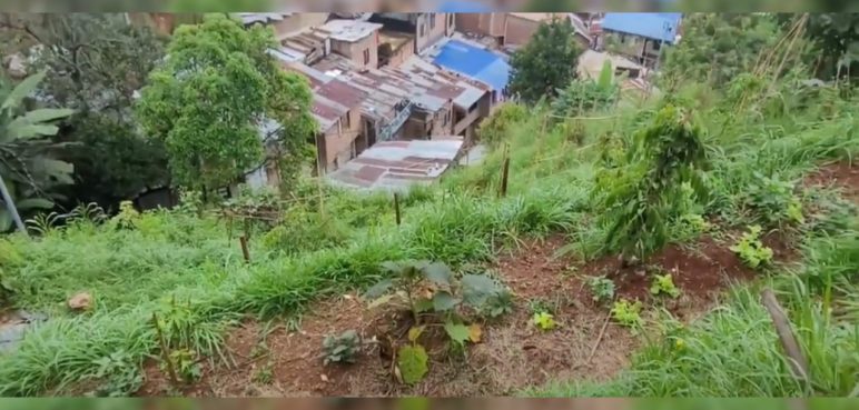 Una huerta comunitaria que beneficiaba a 100 personas fue destruida en Siloé
