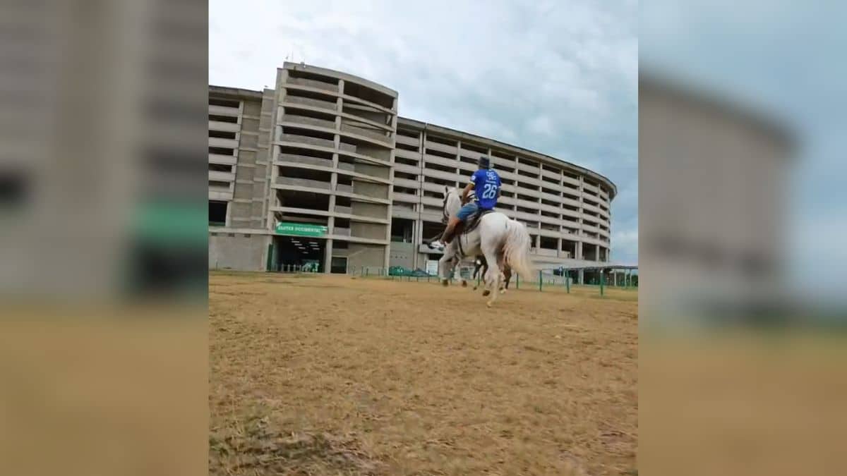 Al mejor estilo de Pasión de Gavilanes: Deportivo Cali presentó refuerzos