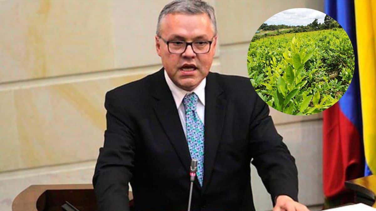 Gobierno propone entregar subsidio a los campesinos cultivadores de coca