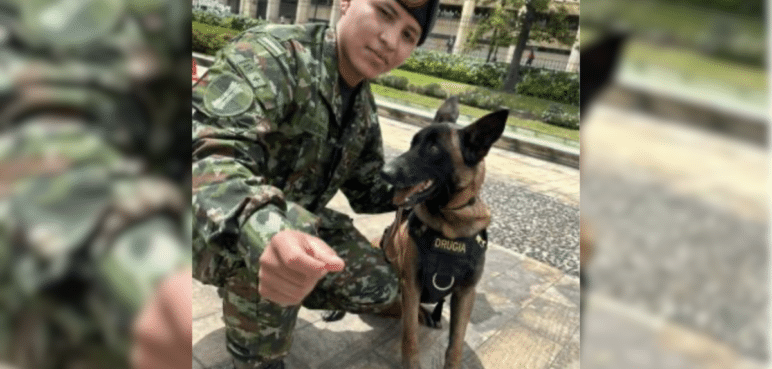 ¡No deja a su amigo atrás!: Soldado guía sigue buscando a Wilson