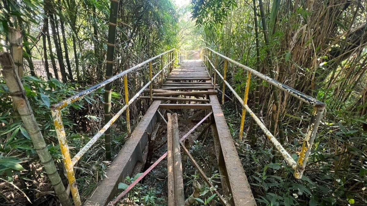 Denuncian mal estado en puente peatonal del parque de El Ingenio, sur de Cali