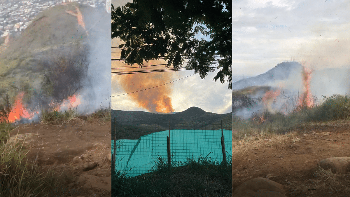 Controlan incendio en cerro de las Tres Cruces: Cinco hectáreas se vieron afectadas