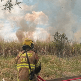 Video: Incendio en lote del sur de Cali fue controlado por los Bomberos