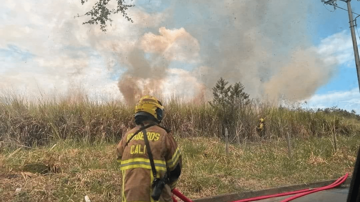 Video: Incendio en lote del sur de Cali fue controlado por los Bomberos