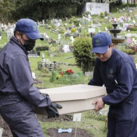 funerales-y-velorios-para-perros-y-gatos-la-forma-de-despedir-a-las-mascotas-08-08-2023