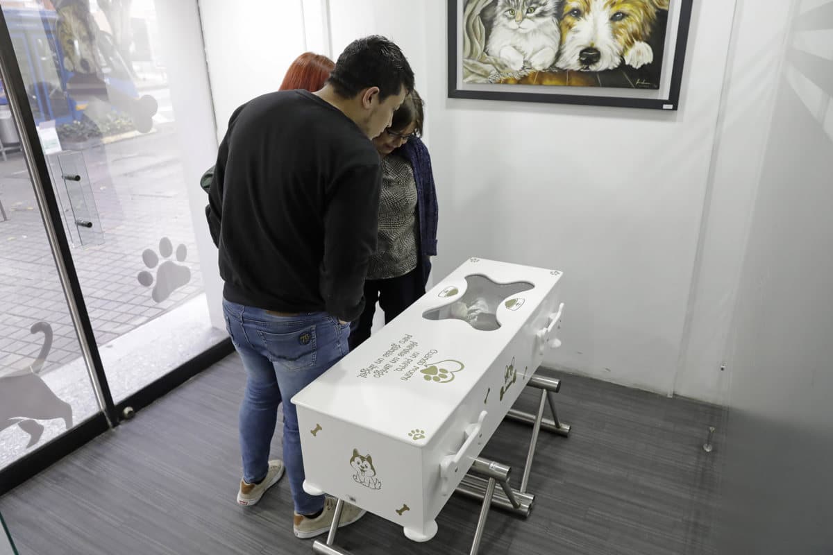 funerales-y-velorios-para-perros-y-gatos-la-forma-de-despedir-a-las-mascotas-08-08-2023
