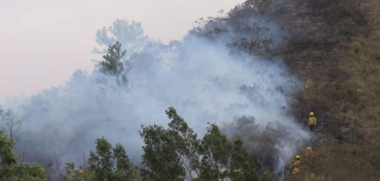 Grave incendio en Cerro de la Bandera en Cali: Hay cerca de 15 hectáreas afectadas