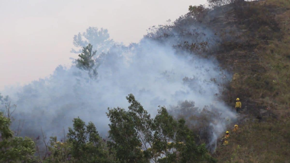 Grave incendio en Cerro de la Bandera en Cali: Hay cerca de 15 hectáreas afectadas