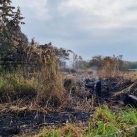 ¿Incendios provocados? Comunidad de  Ciudad Meléndez denuncia quema de lotes