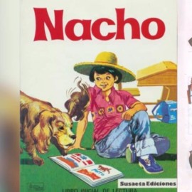 'Mi mamá me mima': Conozca la historia de 'Nacho Lee' y su exitosa frase