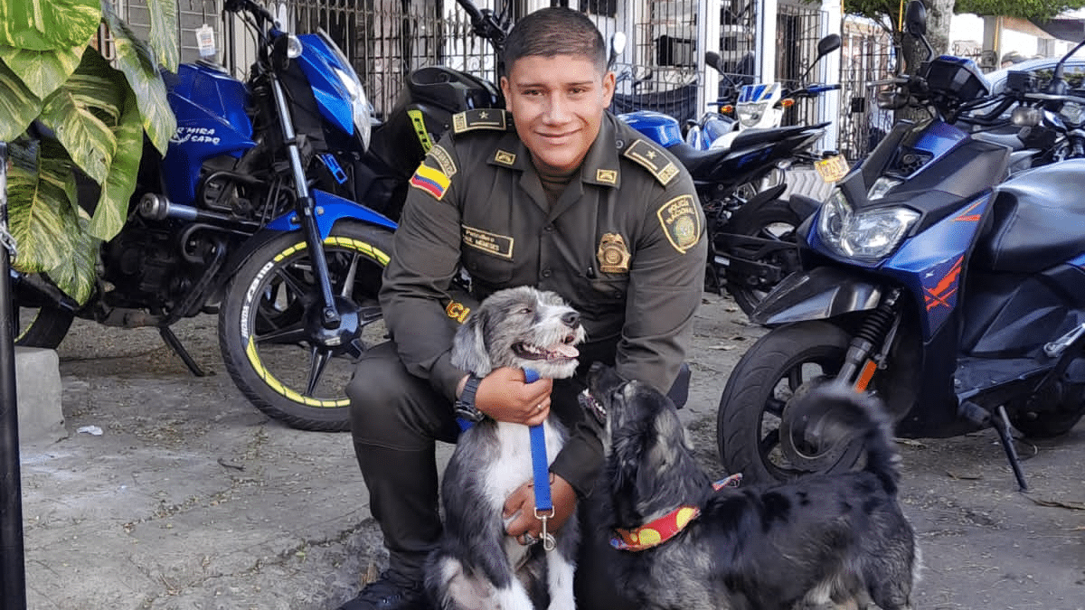 ¡Todo un héroe! Patrullero se lanzó a un caño para salvar la vida de un perrito