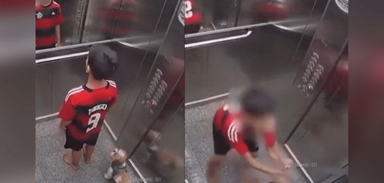 Video: Niño salva perrita que quedó atrapada por la puerta de un ascensor
