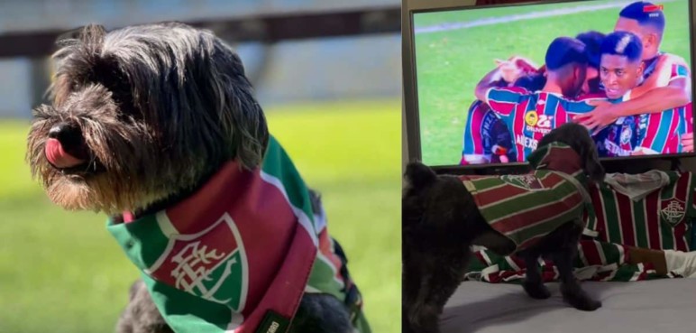 Video: Pretinha, la perrita que celebra los goles de su equipo