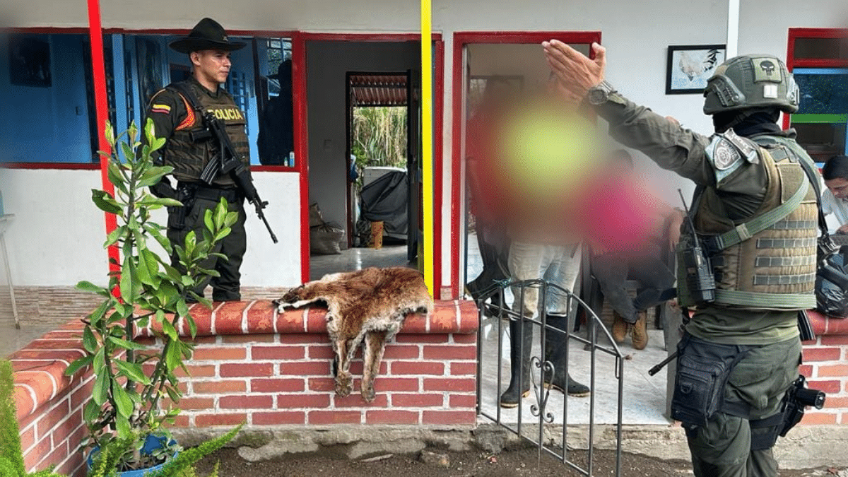 Capturan a presuntos responsables del asesinato de un puma en El Águila, Valle