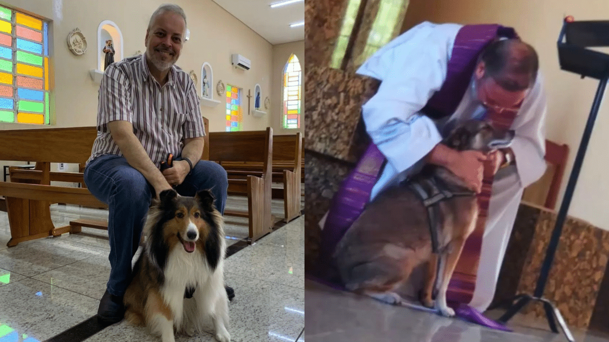 Cura dispone sus eucaristías para dar en adopción a perros rescatados