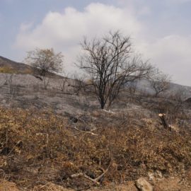 "No existen incendios espontáneos": Balance tras incendio en Altos de Menga