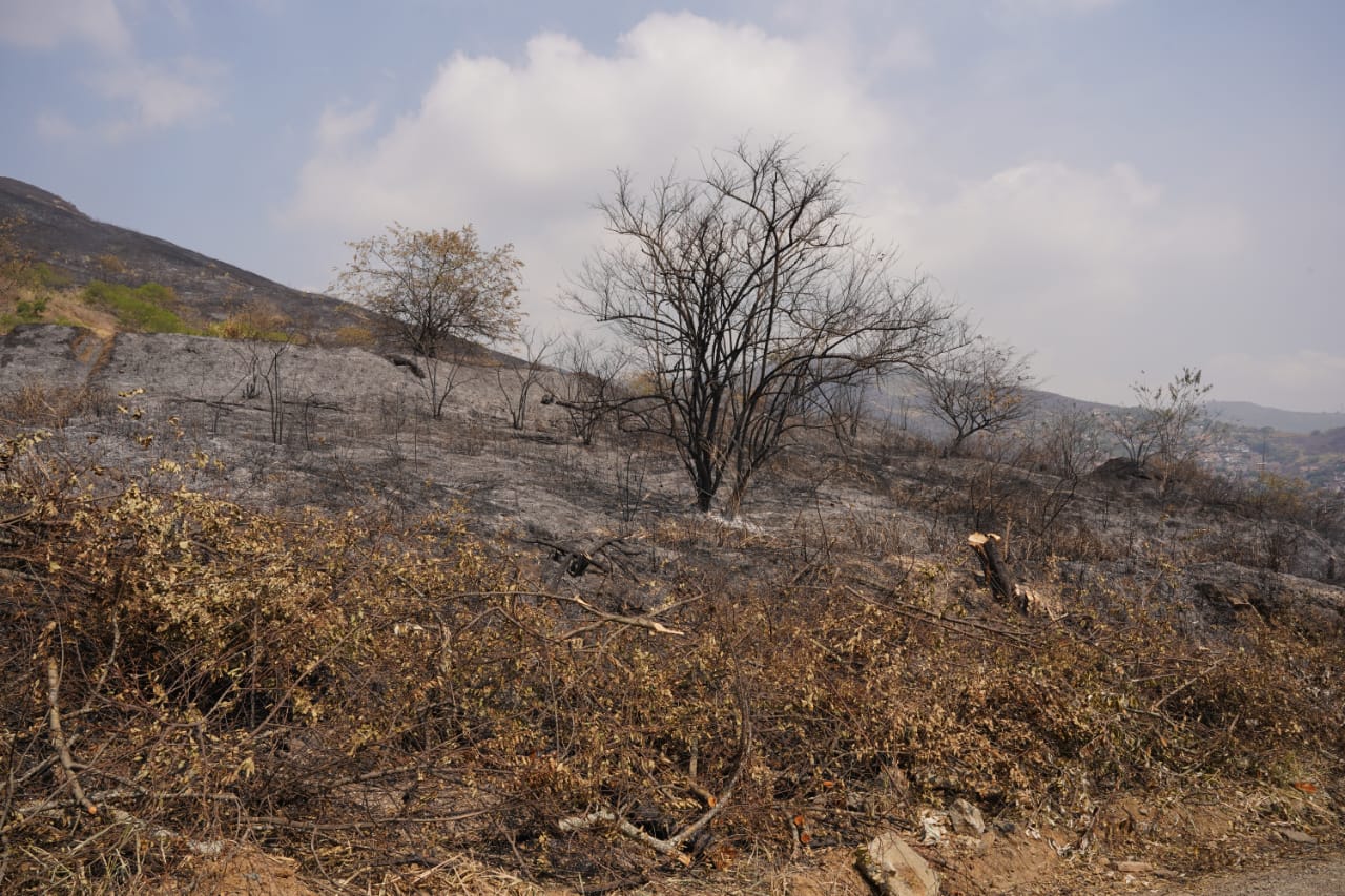 Habitantes de La Buitrera denuncian invasiones a predios tras incendio forestal