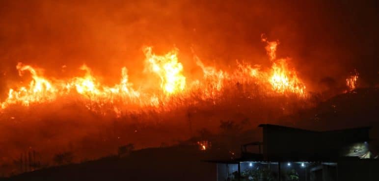 Ofrecen millonaria recompensa por autores de incendio forestal en Altos de Menga