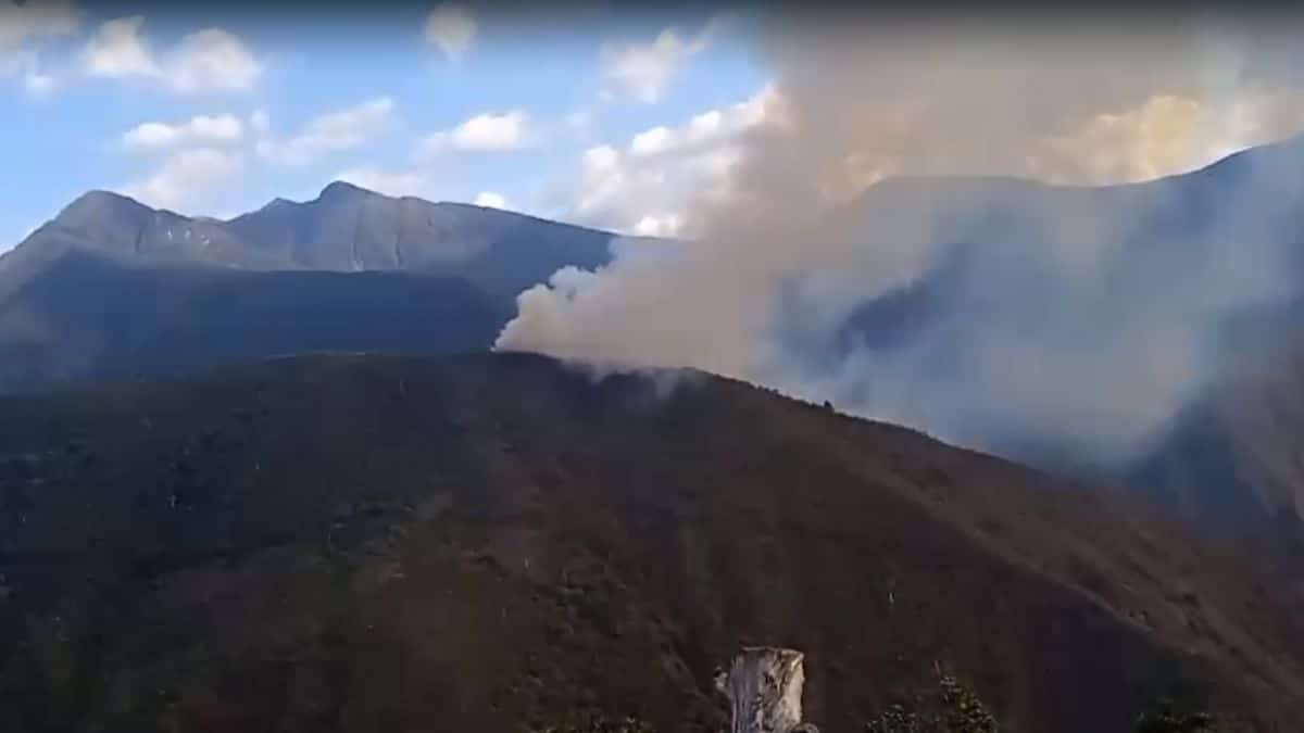 Video: ¡Más de 24 horas! Bomberos atienden grave incendio en Pradera, Valle