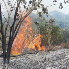 Más de 24 horas: Así avanza contingencia del incendio en Altos de Menga