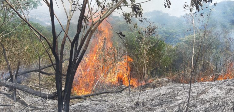 Más de 24 horas: Así avanza contingencia del incendio en Altos de Menga