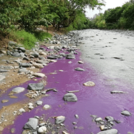 Sancionarán a establecimiento responsable de verter líquido en el río Tuluá