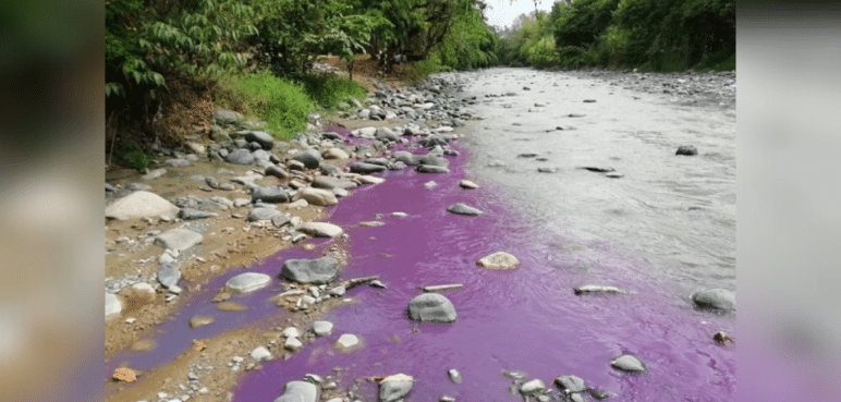 Sancionarán a establecimiento responsable de verter líquido en el río Tuluá