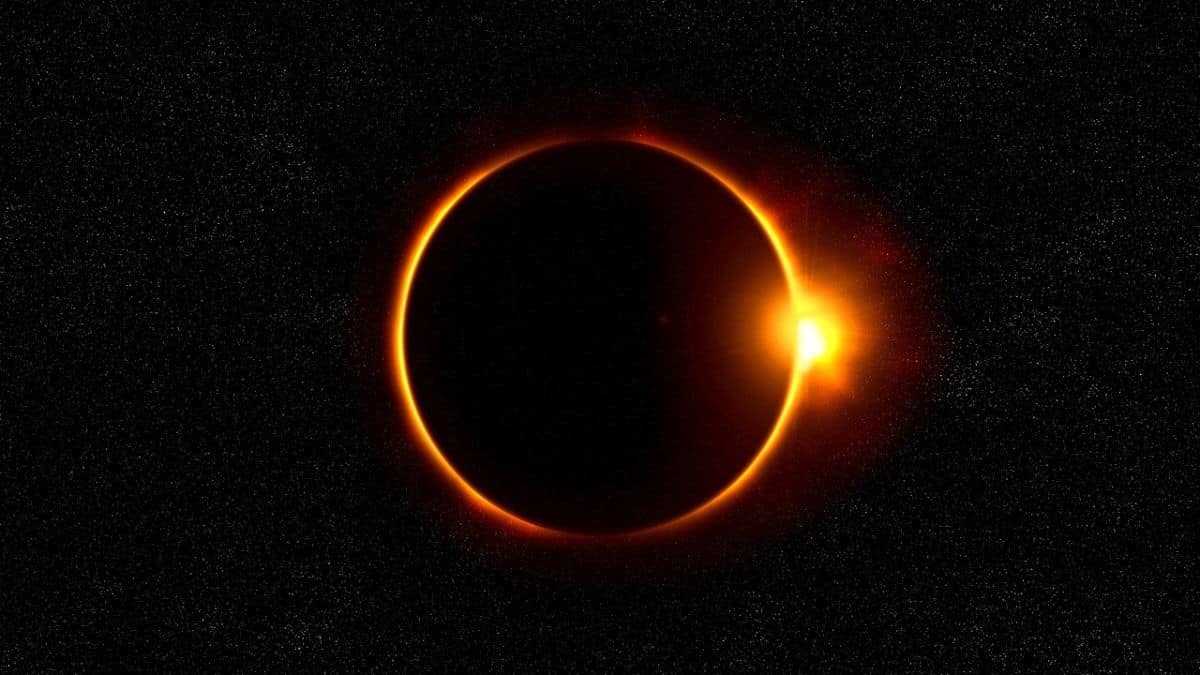 Proteja su visión durante el eclipse solar: Estas son las precauciones que debe tomar