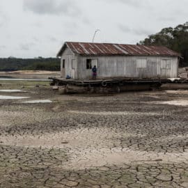 Crece alerta: Caudal del río Amazonas cae al menor nivel en cinco años