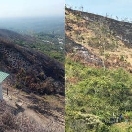 Emergencia ambiental en La Buitrera: Habitantes alertan daños ecológicos