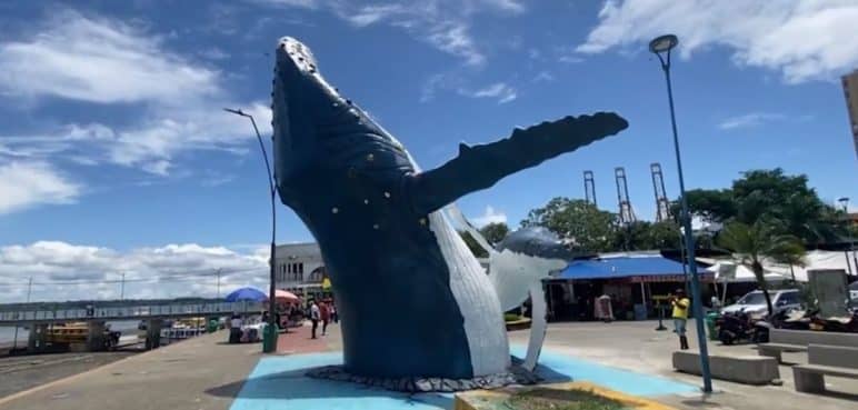 Llega 'La Luchona' a Buenaventura: Gran monumento a las ballenas jorobadas